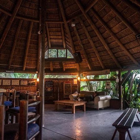 Fairy Knowe Backpackers Lodge Wildernis Buitenkant foto