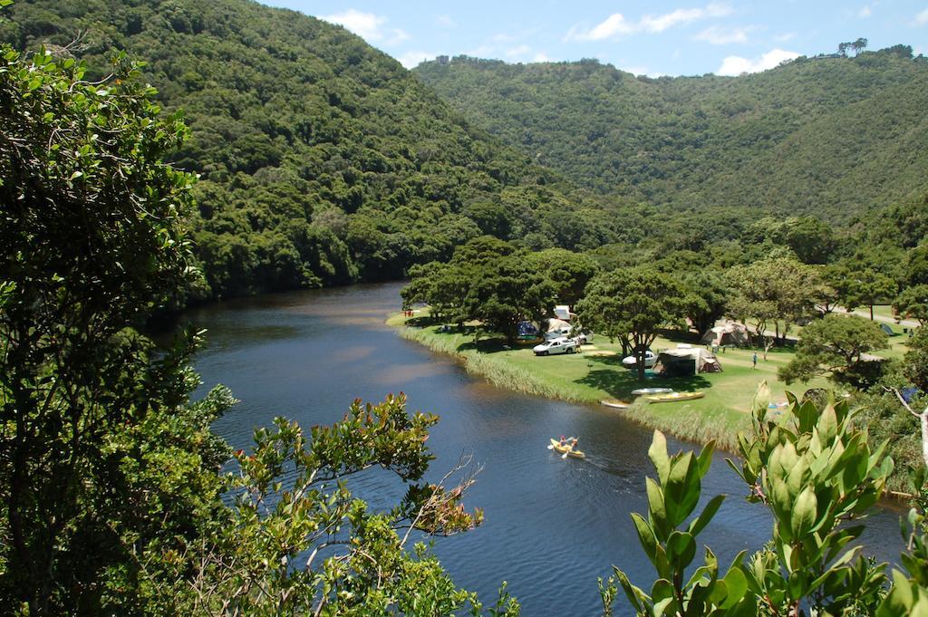 Fairy Knowe Backpackers Lodge Wildernis Buitenkant foto