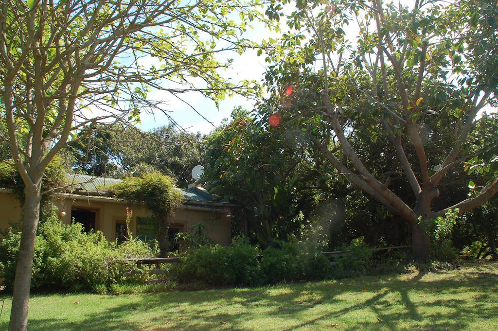 Fairy Knowe Backpackers Lodge Wildernis Buitenkant foto