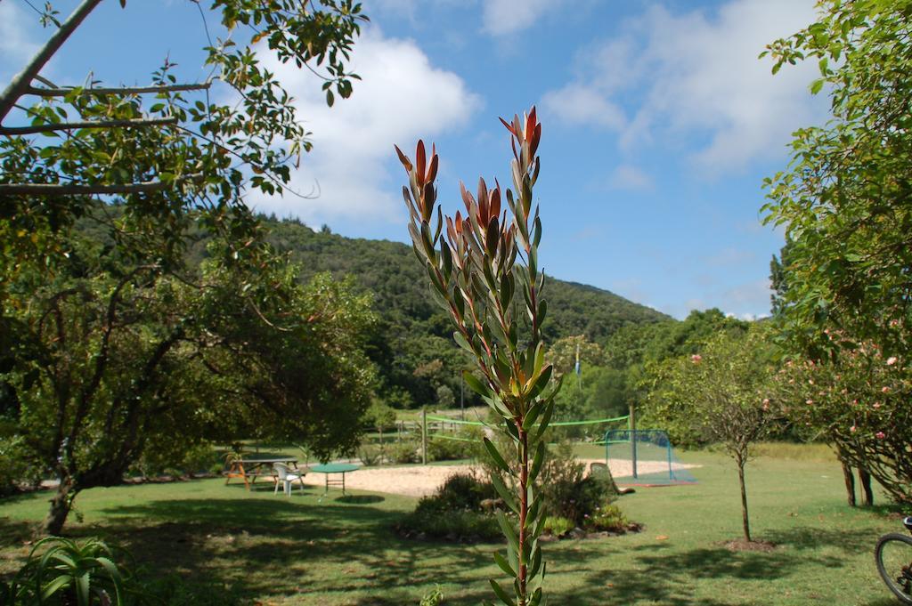 Fairy Knowe Backpackers Lodge Wildernis Buitenkant foto