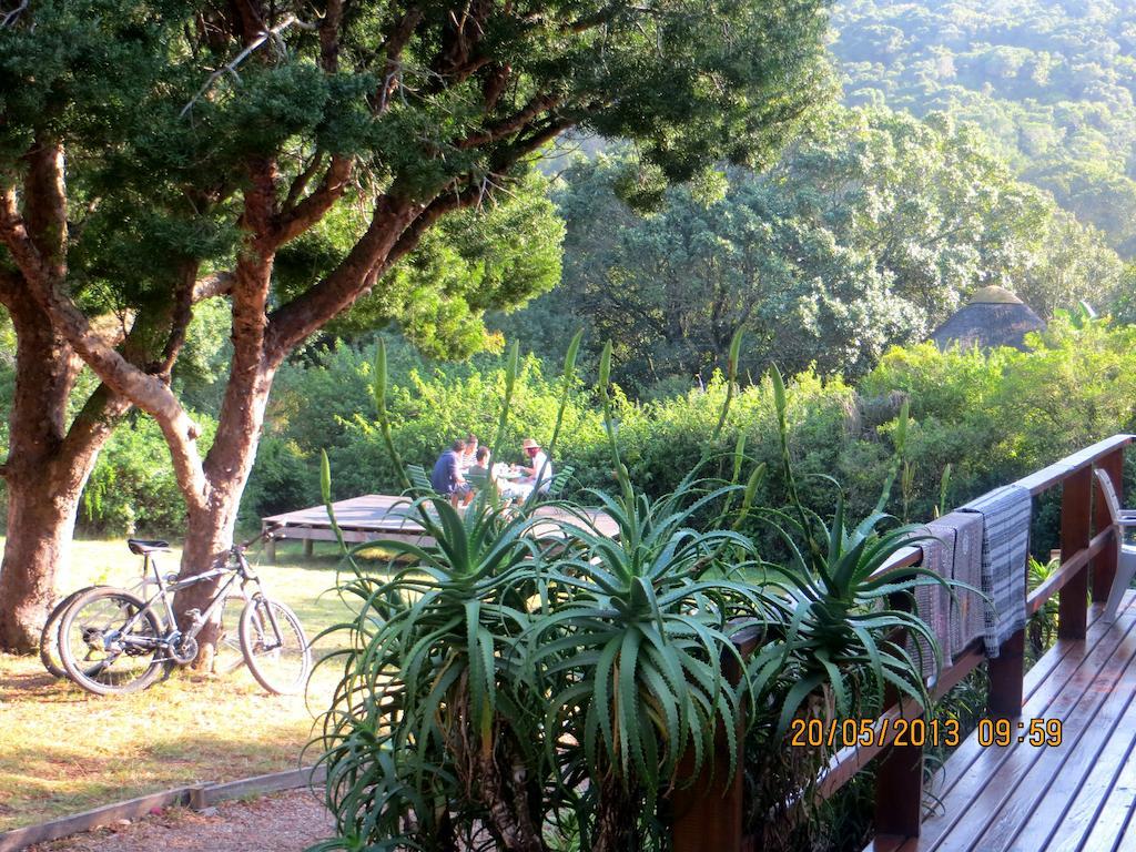 Fairy Knowe Backpackers Lodge Wildernis Buitenkant foto