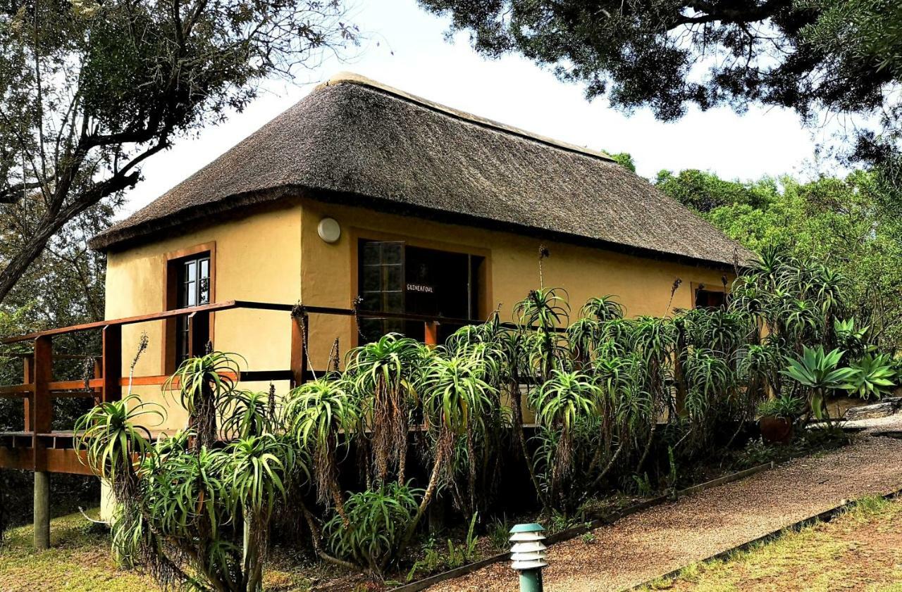 Fairy Knowe Backpackers Lodge Wildernis Buitenkant foto