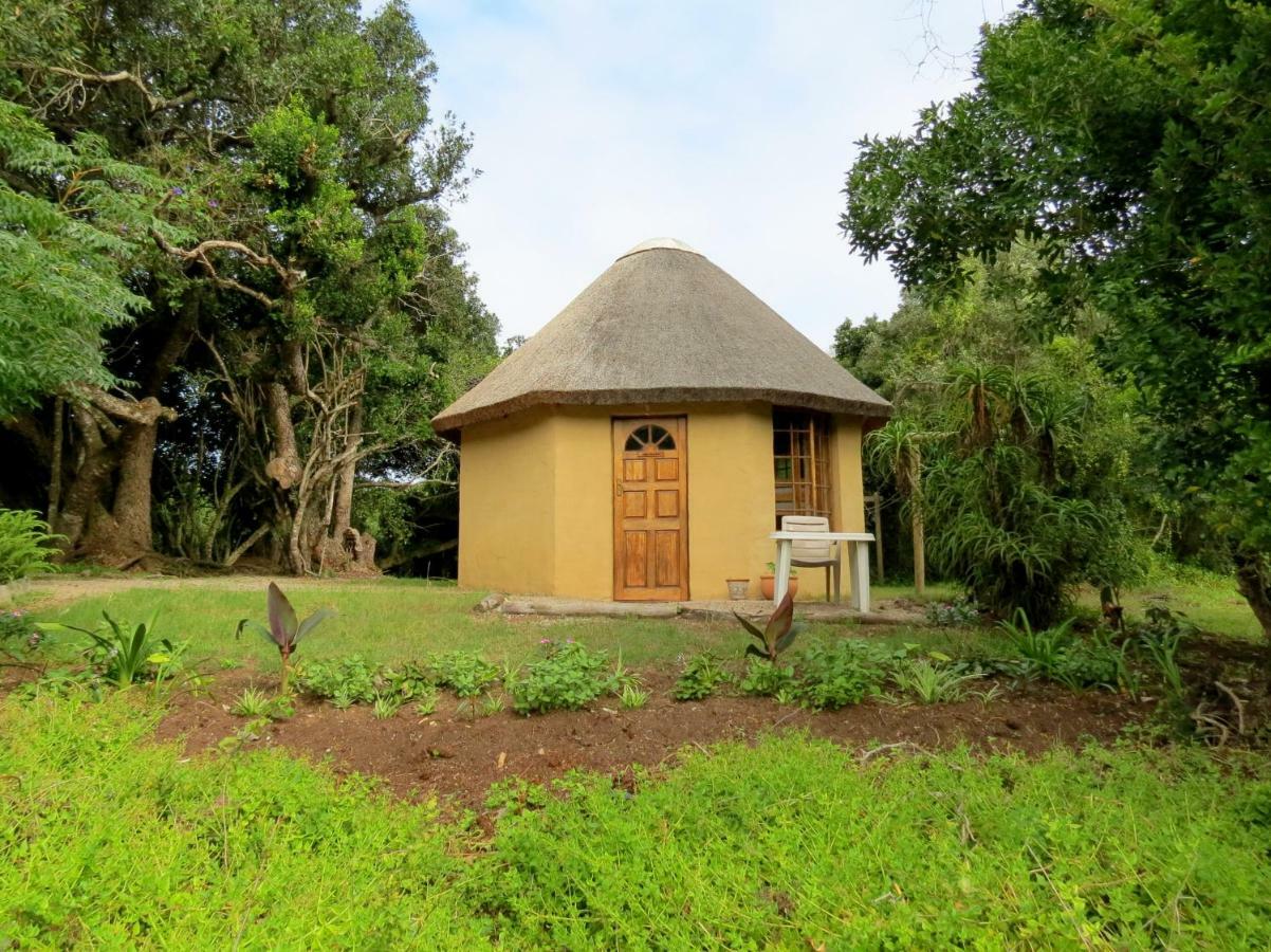 Fairy Knowe Backpackers Lodge Wildernis Buitenkant foto