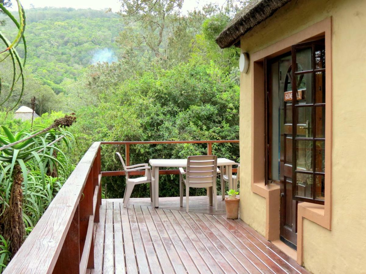 Fairy Knowe Backpackers Lodge Wildernis Buitenkant foto