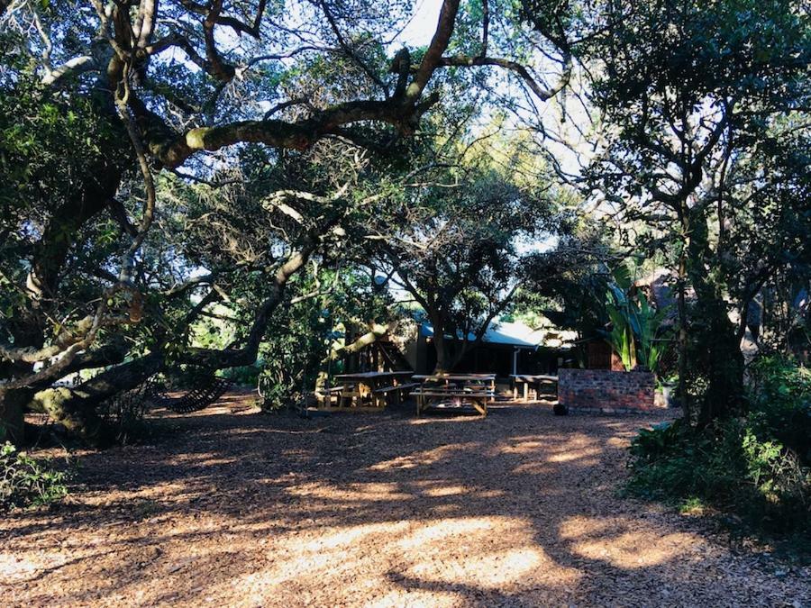 Fairy Knowe Backpackers Lodge Wildernis Buitenkant foto